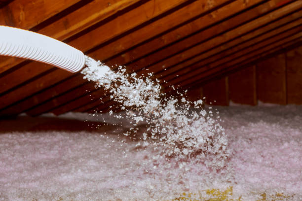 Best Commercial Insulation in Kingsville, TX