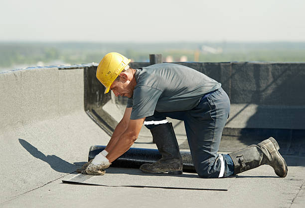 Best Eco-Friendly Insulation in Kingsville, TX