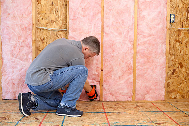 Best Spray Foam Insulation in Kingsville, TX