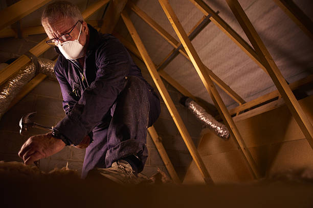 Best Cellulose Insulation in Kingsville, TX