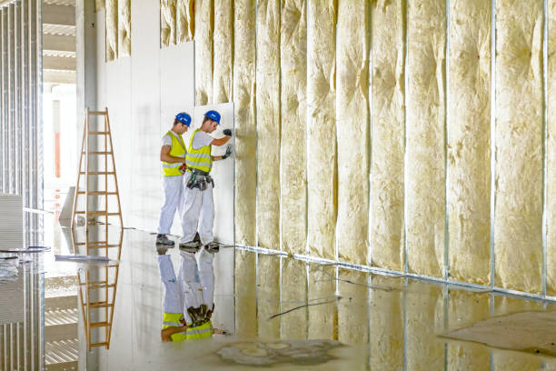 Best Specialized Insulation Services in Kingsville, TX